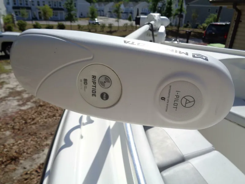 Slide: The Image of Mako 214 2020 - 5333274