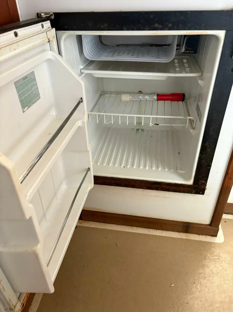 Slide: The Image of Ellis Down East 1988 - 5333457