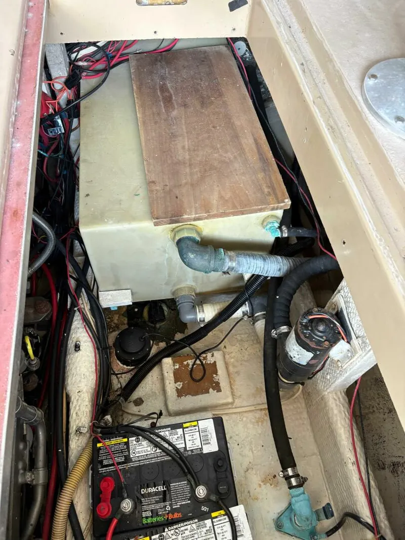 Slide: The Image of Ellis Down East 1988 - 5333467