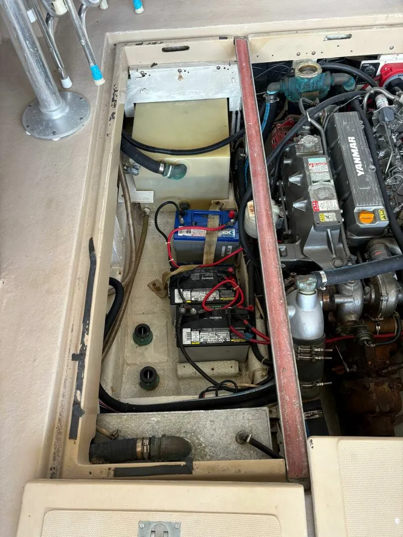 Slide: The Image of Ellis Down East 1988 - 5333469