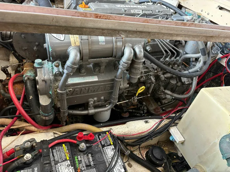 Slide: The Image of Ellis Down East 1988 - 5333472