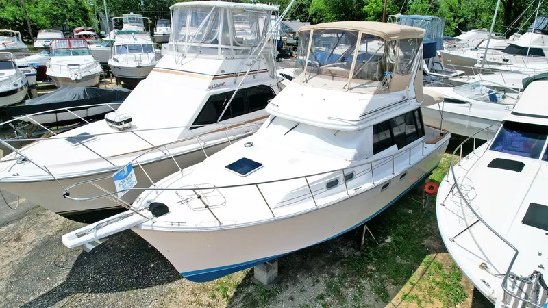 Slide: The Image of Bayliner 32 1993 - 5338371