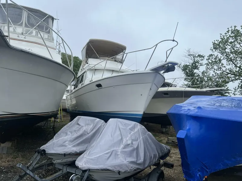 Slide: The Image of Bayliner 32 1993 - 5339128