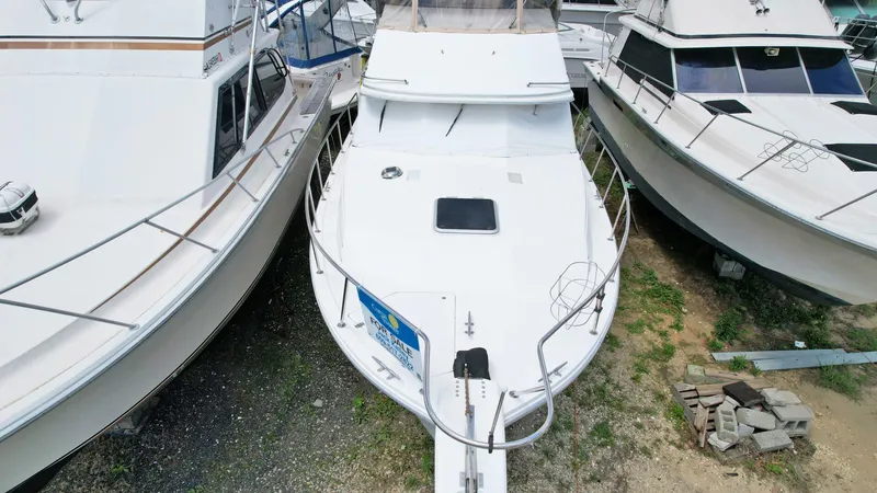 Slide: The Image of Bayliner 32 1993 - 5338376