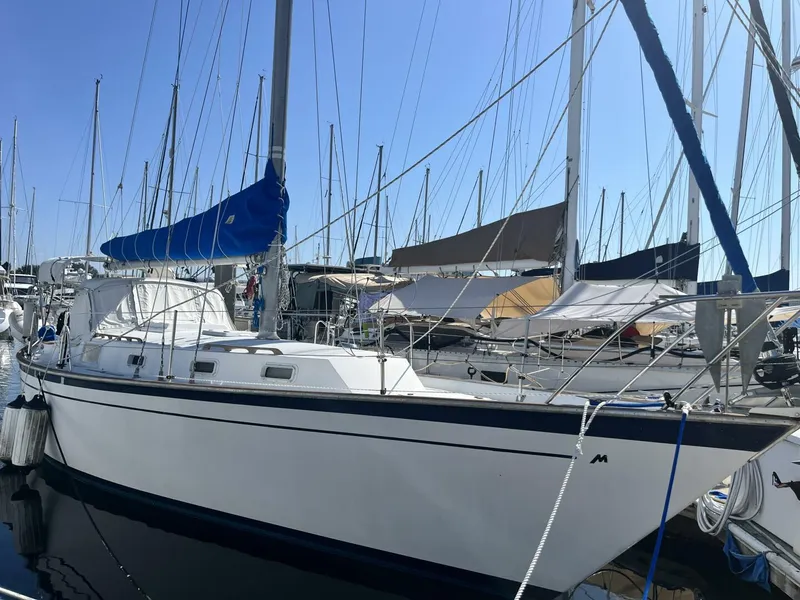 The Image of Morgan 38 1980 - 5340246