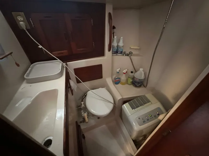 Slide: The Image of Morgan 38 1980 - 5340250