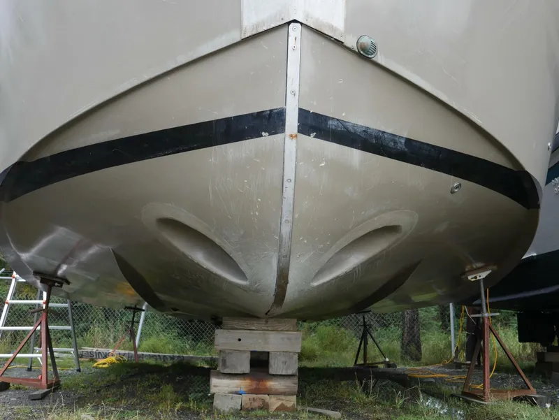 Slide: The Image of Custom Freestyle 32 2022 - 5645361