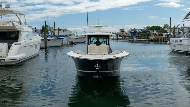 Slide: The Image of Scout 377 LXF 2025 - 5342167