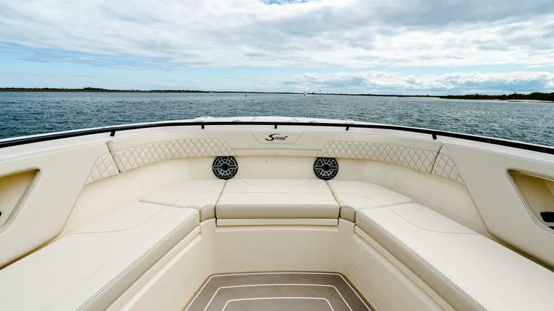 Slide: The Image of Scout 377 LXF 2025 - 5342171