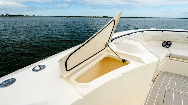 Slide: The Image of Scout 377 LXF 2025 - 5342170