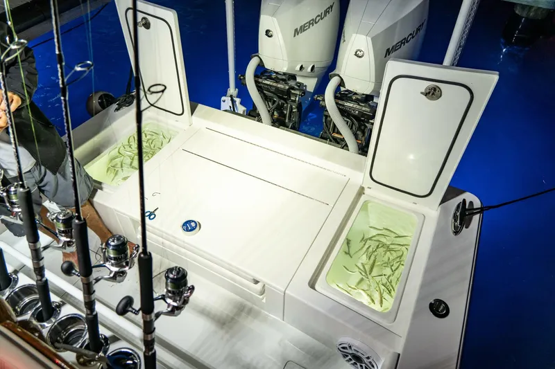 Slide: The Image of V 28 (2) - 5881642