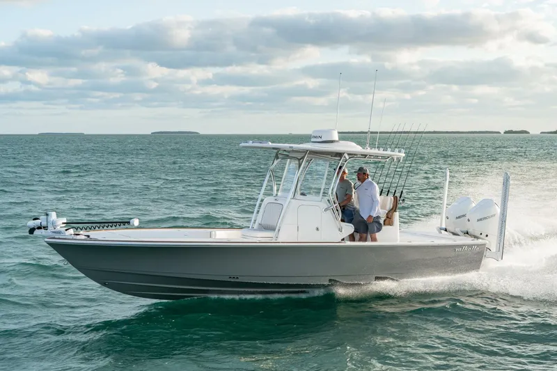 Slide: The Image of V 28 (9) - 5881660