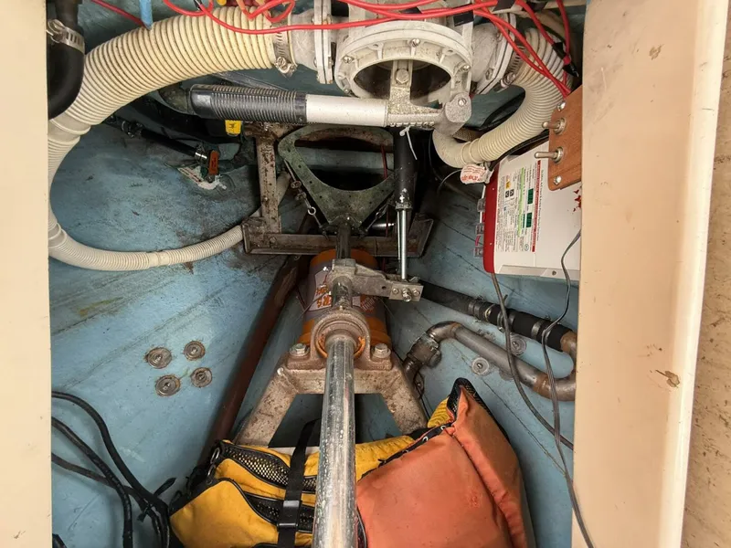 Slide: The Image of Tayana 37 1985 - 5344352