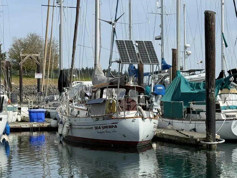 Slide: The Image of Tayana 37 1985 - 5344354