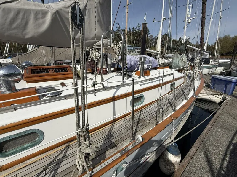 Slide: The Image of Tayana 37 1985 - 5344318