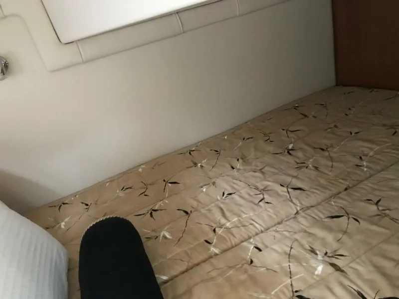 Slide: The Image of Regal 2565 Express Cruiser 2008 - 5346963