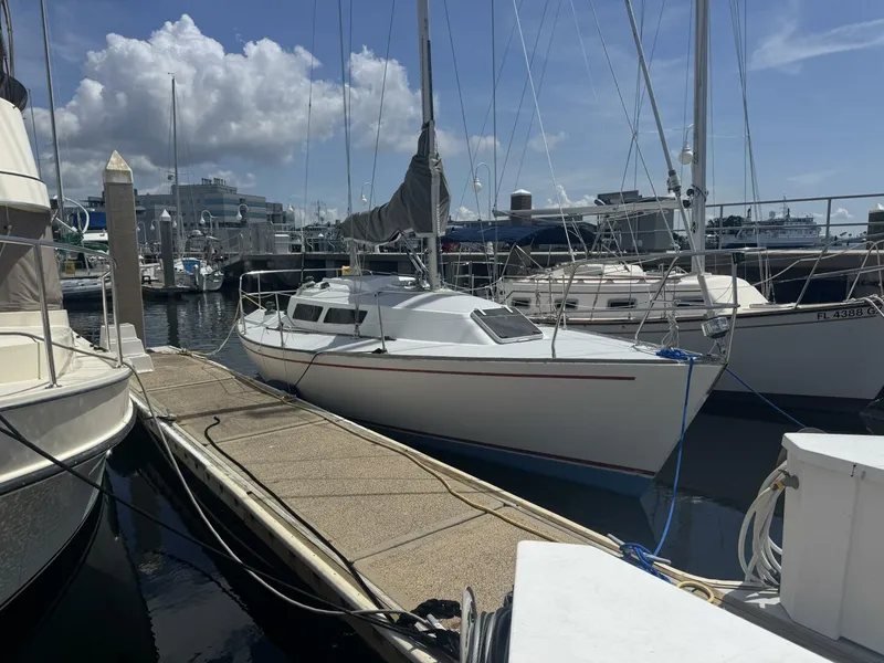 Slide: The Image of Frers 30 1987 - 5466656