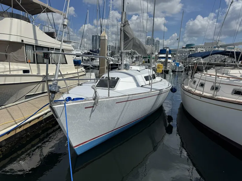 Slide: The Image of Frers 30 1987 - 5466874