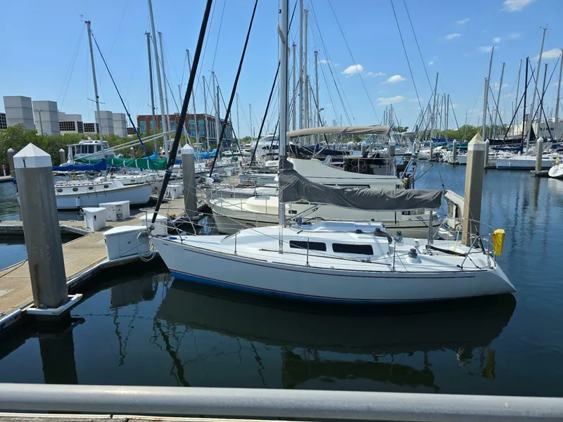 Slide: The Image of Frers 30 1987 - 5348225