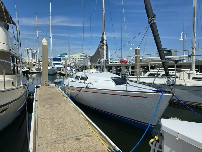 Slide: The Image of Frers 30 1987 - 5348229