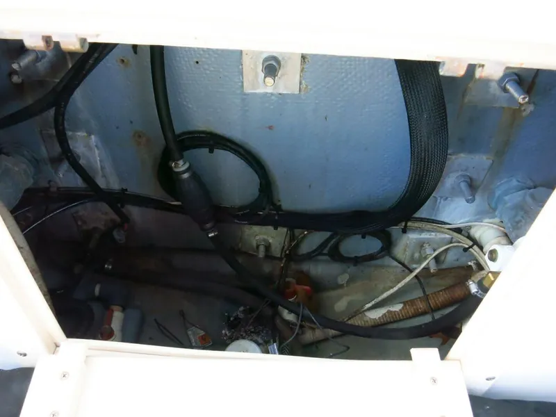 Slide: The Image of Mako 22 1993 - 5350606