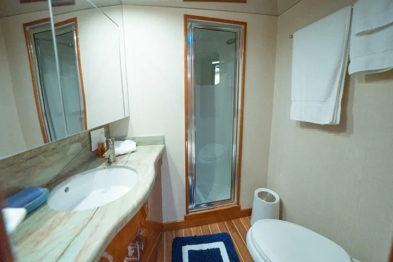 Slide: The Image of Master Head and Shower - 5351123