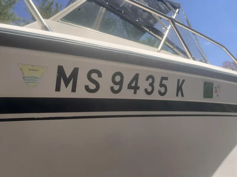 Slide: The Image of MS Reg Numbers - 5351501