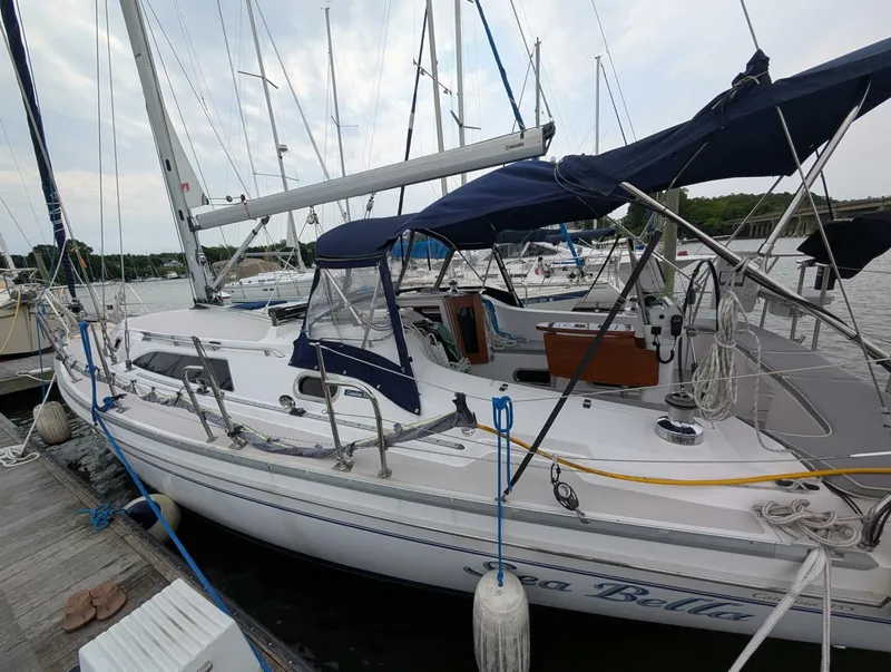 Slide: The Image of Catalina 355 2013 - 5357272