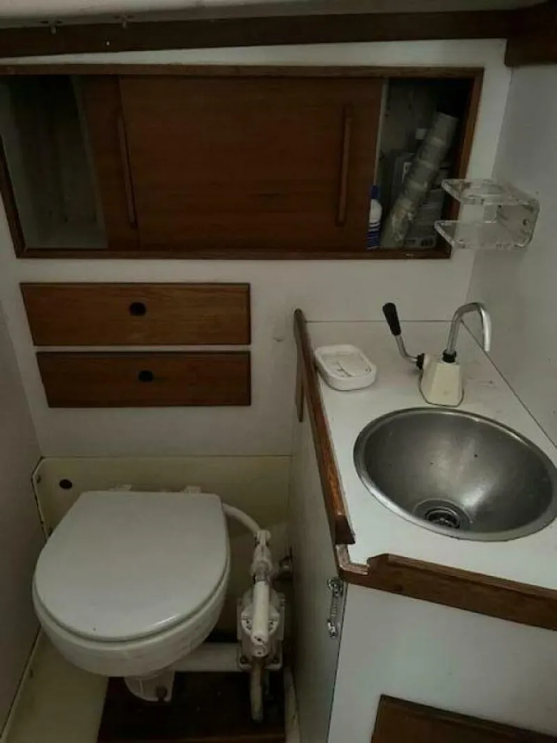 Slide: The Image of Head - 5357290