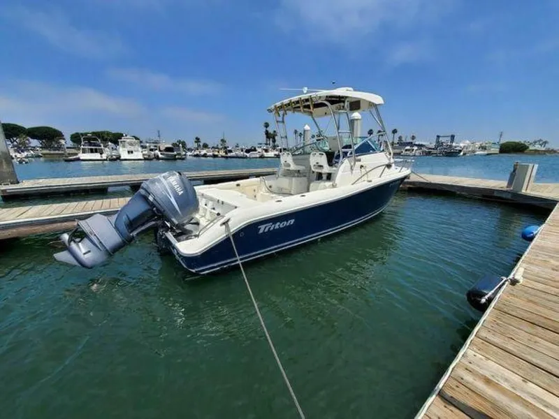 Slide: The Image of Triton 2486WA 2006 - 5358512