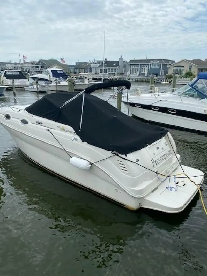 The Image of Sea Ray 240 Sundancer 2004 - 5366115