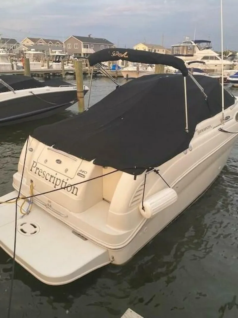 Slide: The Image of Sea Ray 240 Sundancer 2004 - 5366114