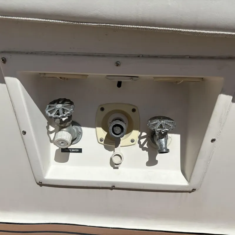 Slide: The Image of IMG_5190 - 5384988