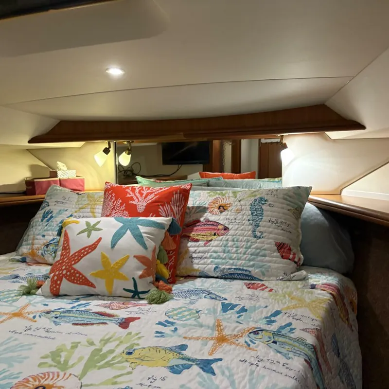 Slide: The Image of IMG_5164 - 5385003