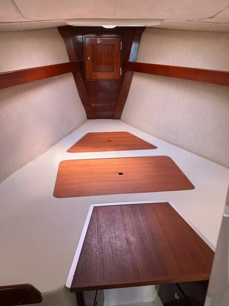 Slide: The Image of Shannon 35 2006 - 5408003