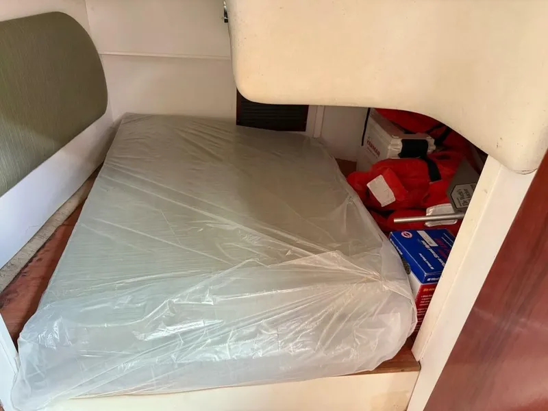 Slide: The Image of Shannon 35 2006 - 5408007