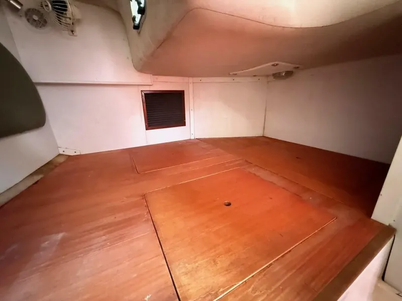 Slide: The Image of Shannon 35 2006 - 5408008