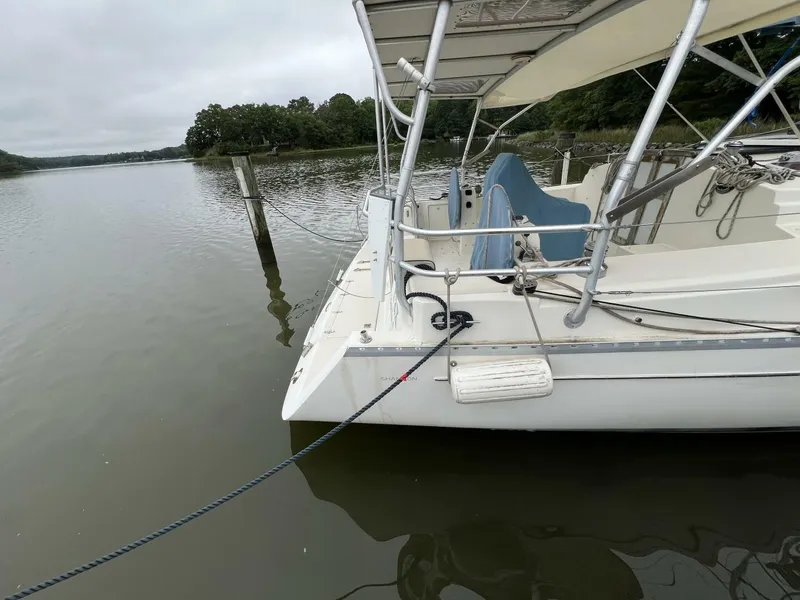 Slide: The Image of Shannon 35 2006 - 5374877