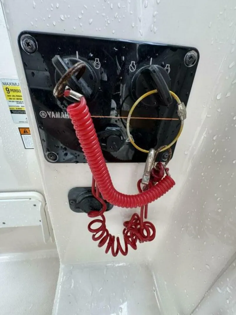 Slide: The Image of Cobia 25 2007 - 5367435