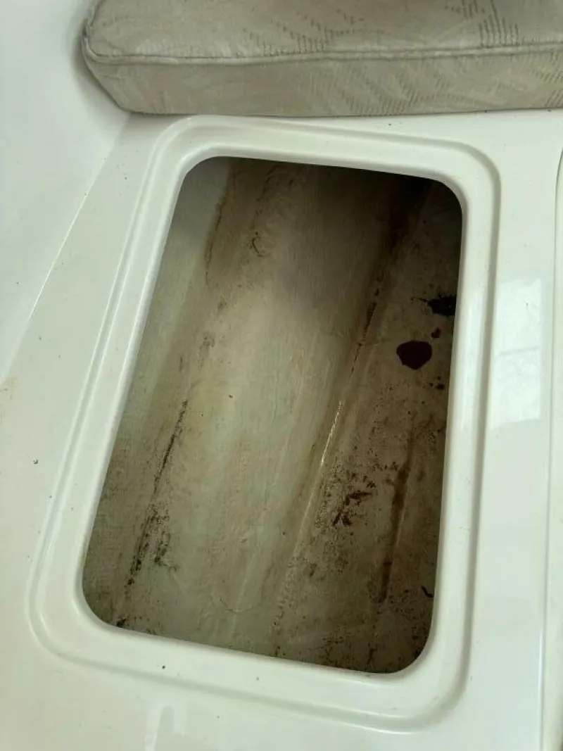 Slide: The Image of Cobia 25 2007 - 5367437