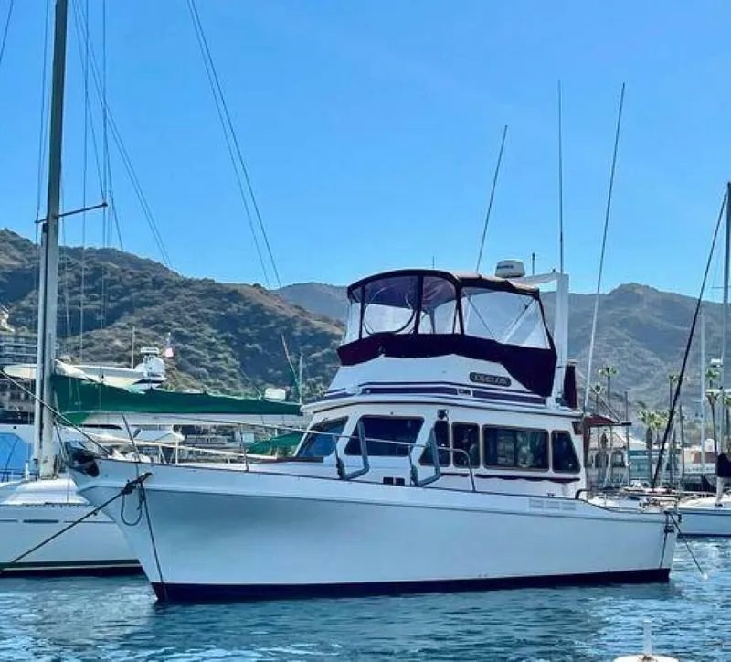 Slide: The Image of Californian 34 1983 - 5370284