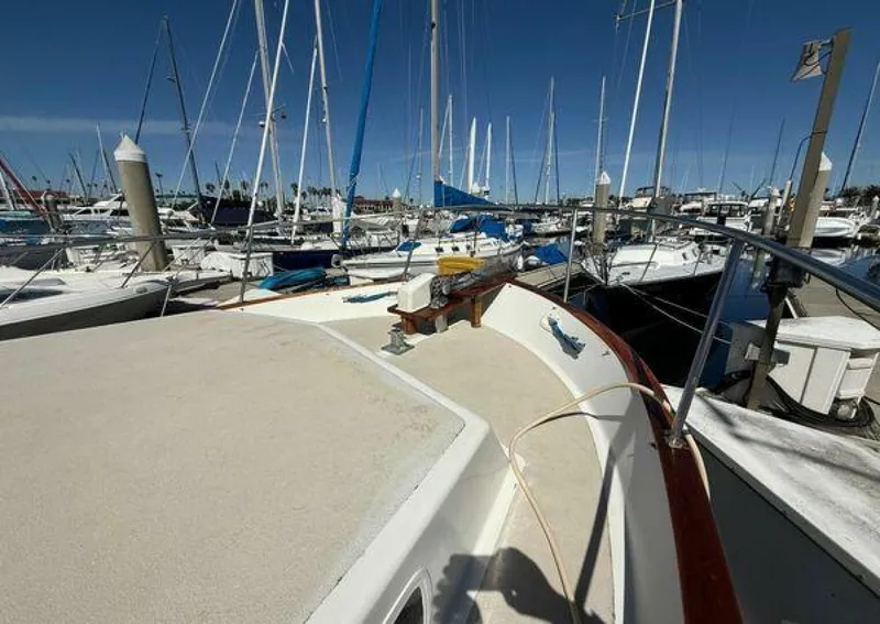 Slide: The Image of Californian 34 1983 - 5370301