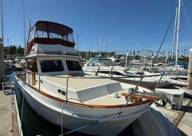 Slide: The Image of Californian 34 1983 - 5370286