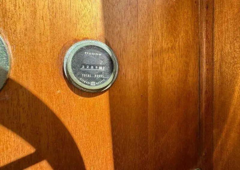 Slide: The Image of Californian 34 1983 - 5370319