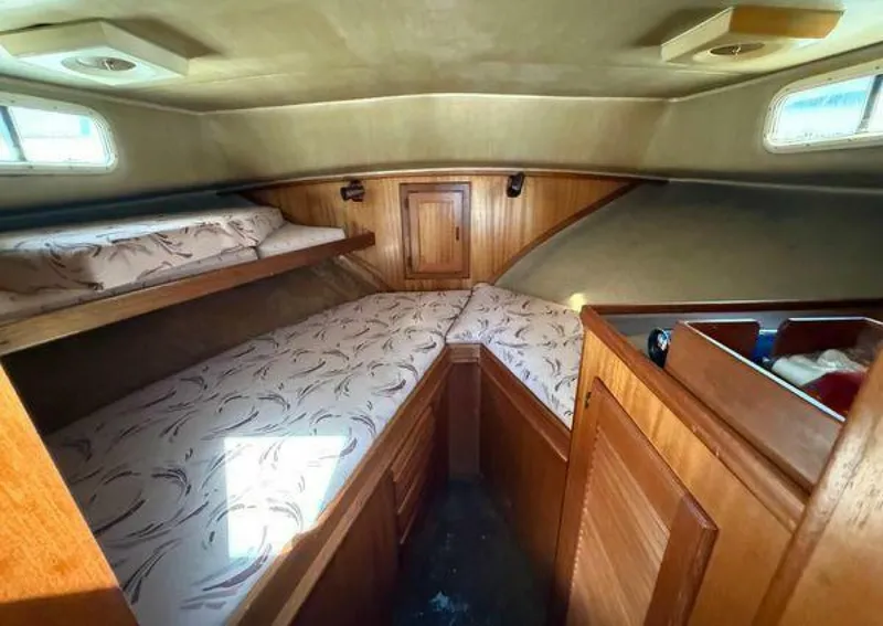 Slide: The Image of Californian 34 1983 - 5370329