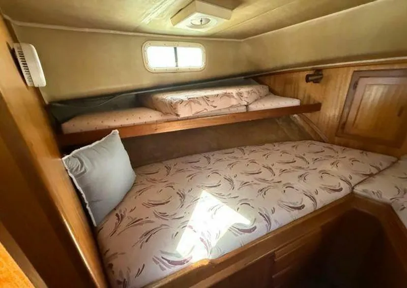 Slide: The Image of Californian 34 1983 - 5370331