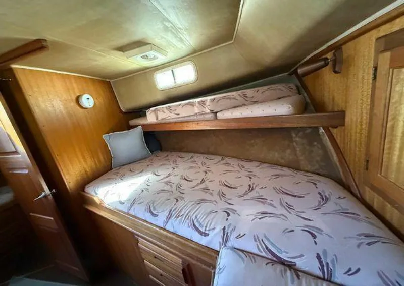 Slide: The Image of Californian 34 1983 - 5370332