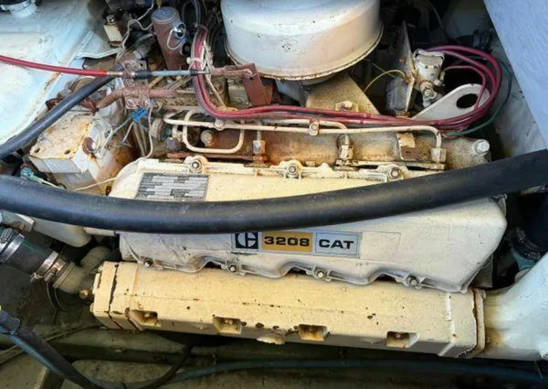 Slide: The Image of Californian 34 1983 - 5370347