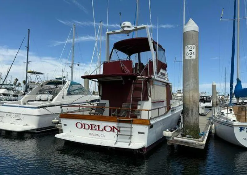 Slide: The Image of Californian 34 1983 - 5370291