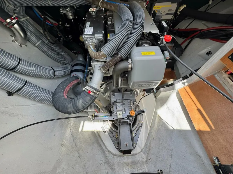 Slide: The Image of Excess 12 2023 - 5371810